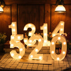 Number & Letter LED Lamps – Variants